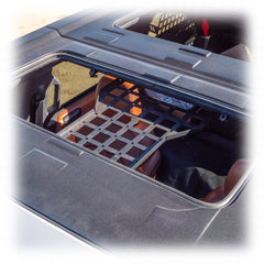 Cage Brace & Overhead Molle | 2021-2026 Ford Bronco | 4 Door