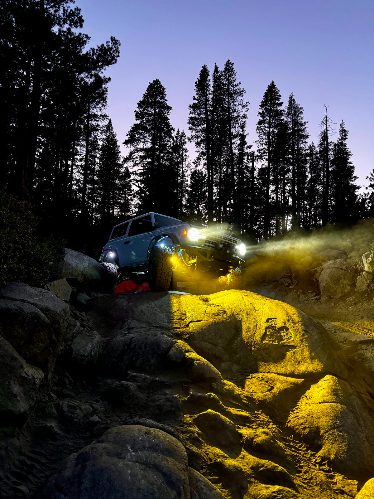 David's 2-Dooor HERITAGE BRONCO